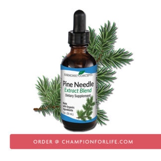 pine needle extract