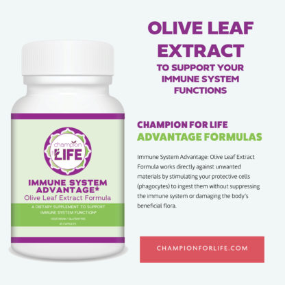 Immune System Advantage Olive Leaf